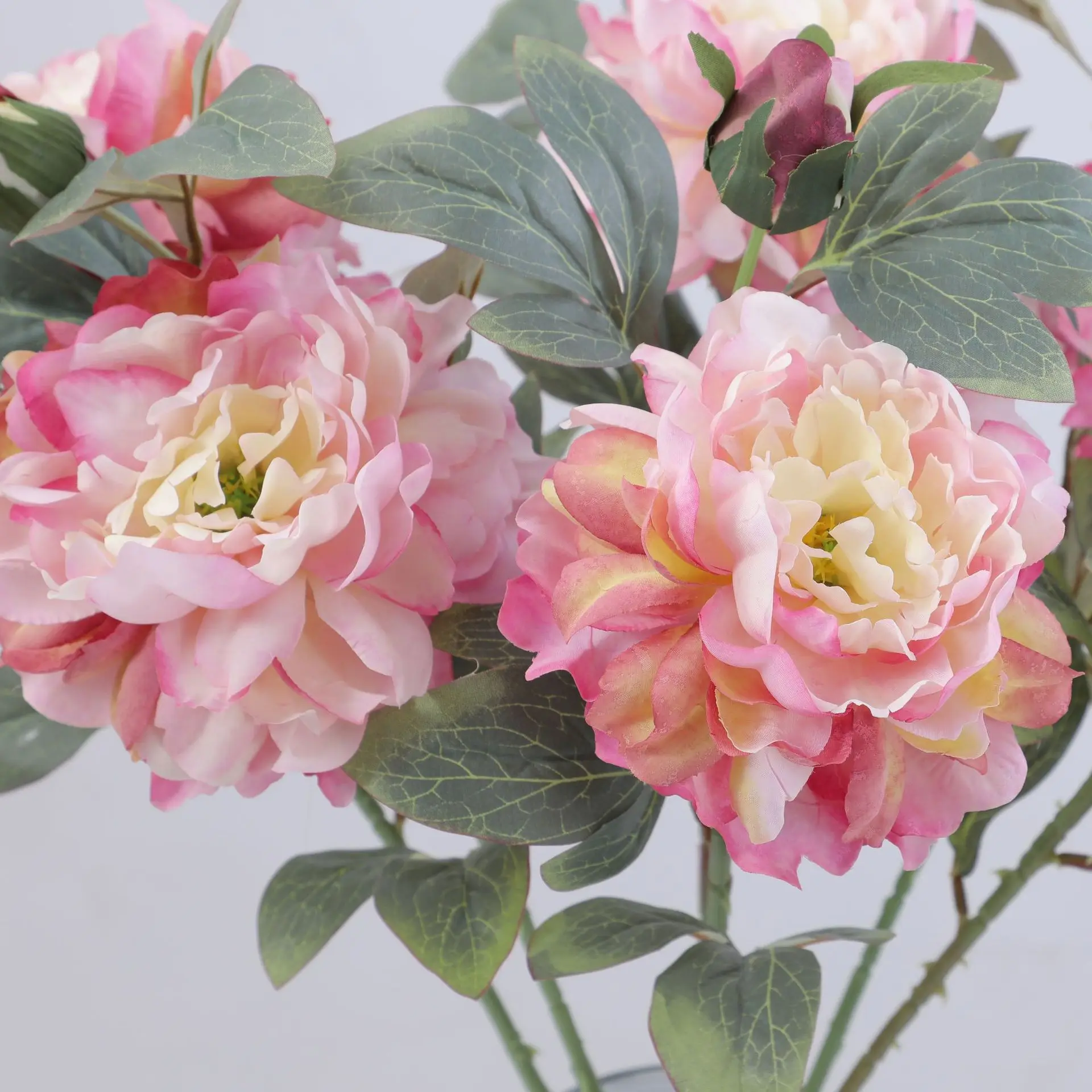 Artificial Peony Flower Single - Flower Wall Panel review and price