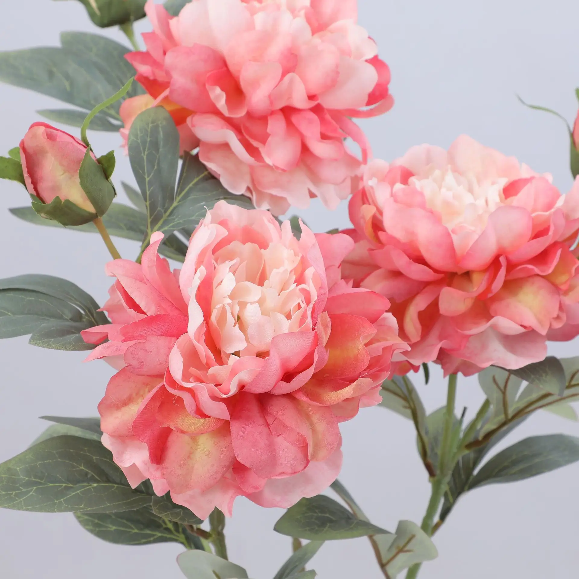 Artificial Peony Flower Single - Flower Wall Panel review and price