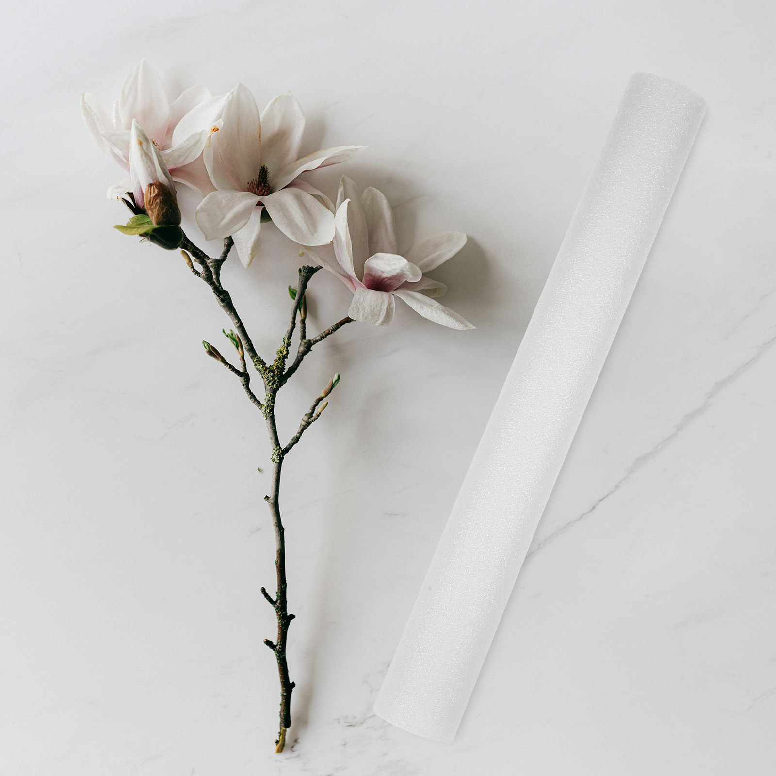 7Pcs Flower Arranging Foam Sti - Centerpiece Stick review and price
